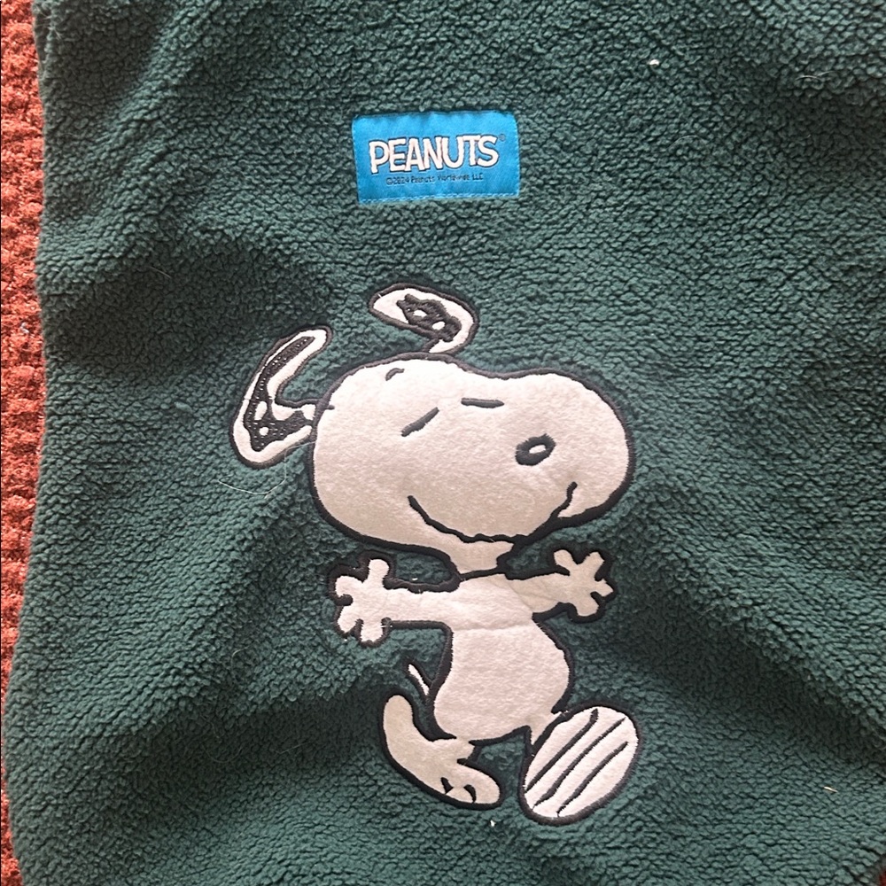 Peanuts Snoopy Dark Green Pet Hoodie - Picture 2 of 4